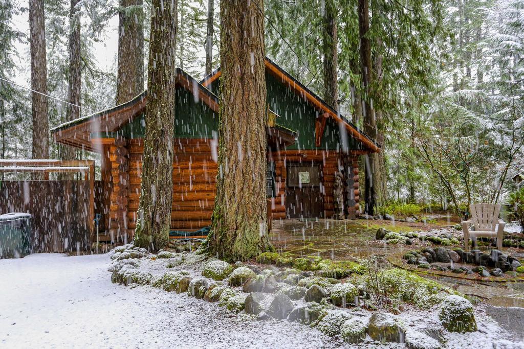 Zoe'S Log Cabin Welches Zewnętrze zdjęcie